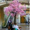 Fotos del hotel Essense of Moscow