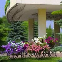Fotos del hotel Ирис Конгресс