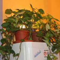 Fotos del hotel Chillax Hostels