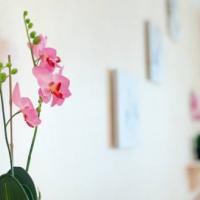 Hotelfotos Хостел Европа