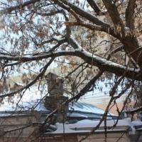 Hotelfotos Гостиница Сквер