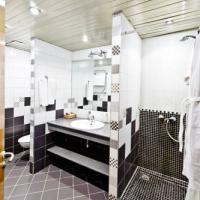 Hotelfotos Гостиница Звездная