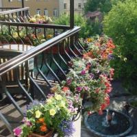 Hotel photos Kebur Palace