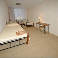 Hotel photos Ananas Mini Hotel