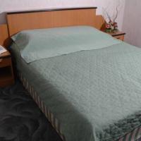 Hotel photos Molodyozhny Hotel