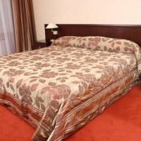 Hotel photos Sheremetev Park Hotel