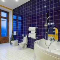 Hotelfotos Исторический Отель Советский