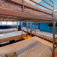 Hotel photos Buddy Bear Hostel