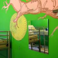 Hotel photos Bananas Hostel