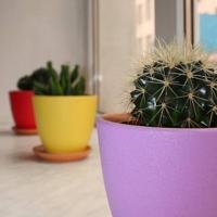 Hotelfotos Хостел Весь Мир