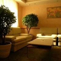 Hotelfotos Александровский Парк Отель
