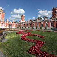 Hotelfotos Отель Петровский Путевой Дворец