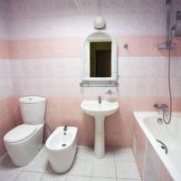 Hotel photos Svetlana Resort