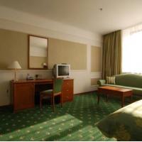 Hotelfotos Бородино