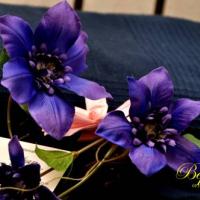 Hotelfotos Гостиный дом Версаль на Кутузовском