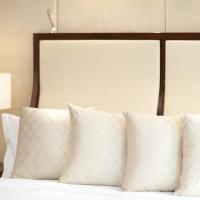 Fotos del hotel InterContinental Moscow Tverskaya