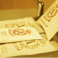 Fotos del hotel Парк-Отель Шереметьевский