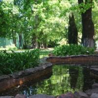 Hotelfotos Парк-Отель Шереметьевский