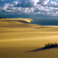 Hotel photos Skipper Hotel