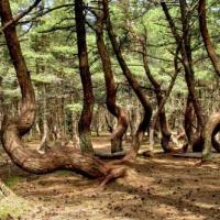 Fotos del hotel Гостиница Шкиперская