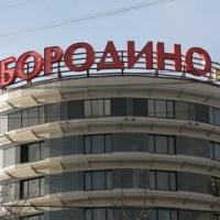 Hotel photos Borodino