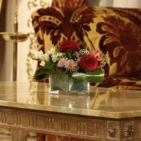 Fotos del hotel Савой