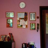 Hotelfotos Panamas Хостел